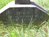 image of grave number 145431